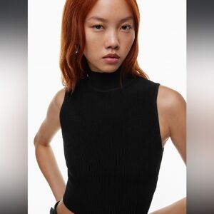 Aritzia Babaton Sleeveless Mock neck Top